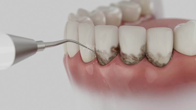Reliable Dental contractor in Burlington, WA by Dentist Open Now